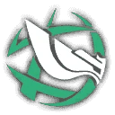 Feixiao Boltsunder Blitz, ultimate icon | Honkai: Star Rail