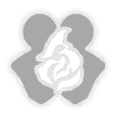 Asta Ignite, Bonus Ability icon | Honkai: Star Rail
