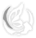Seele Rippling Waves, Bonus Ability icon | Honkai: Star Rail